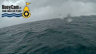 Buoy cam at Cook Nuclear Power Plant