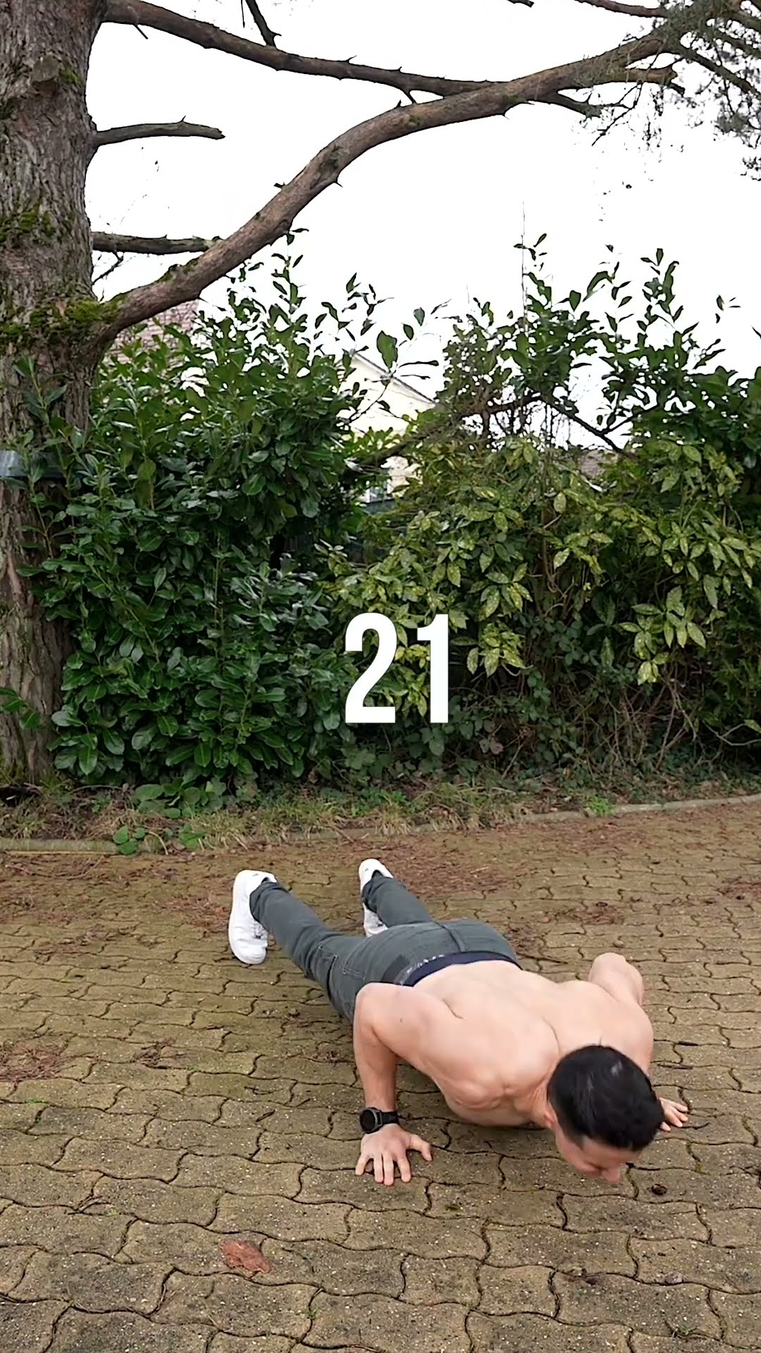 Day 25/365 push-up challenge ! ?
