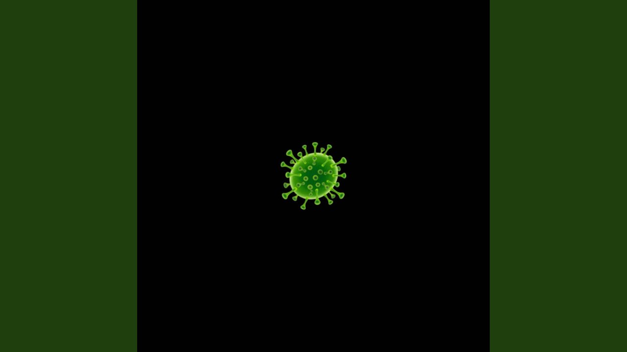 bacteria! auf YouTube ansehen bacteria! auf YouTube ansehen