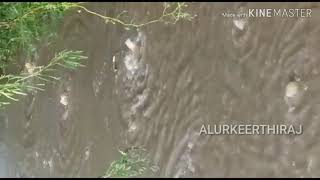 Hiriyur Vedavathi river full today