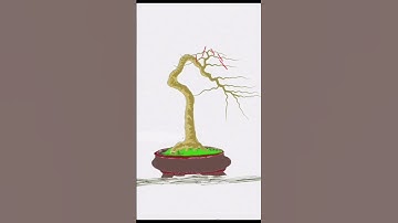 Cách cắt giật bonsai #bonsai