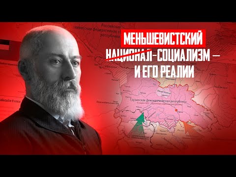 Essays on the Dictatorship of Georgian "Democrats" 1918-1921 | Part 4
