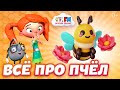 Пчёлы старше динозавров! | Утро с Веснушкой и Кипятошей [Детское радио]