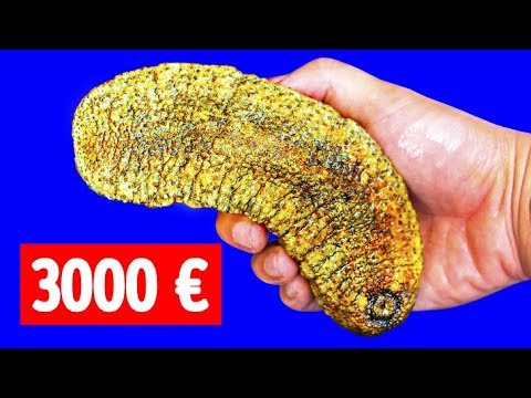 Video: Sind grüne Sanddollars am Leben?