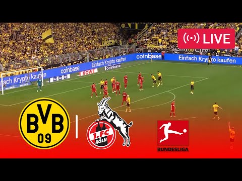 بوروسيا دورتموند ضد كولن مباشر الدوري الألماني 25 26 معاينة مباراة اليوم