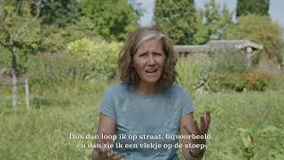 hoe schrijf je een gedicht: tip 1 van Bibi Dumon Tak - Kijk om je heen voor inspiratie