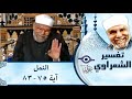 027 تفسير سوره النمل آية 75 83 الشيخ محمد متولي الشعراوي
