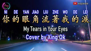Download lagu Your tears are shed from my eyes | Mandarin Song Cover