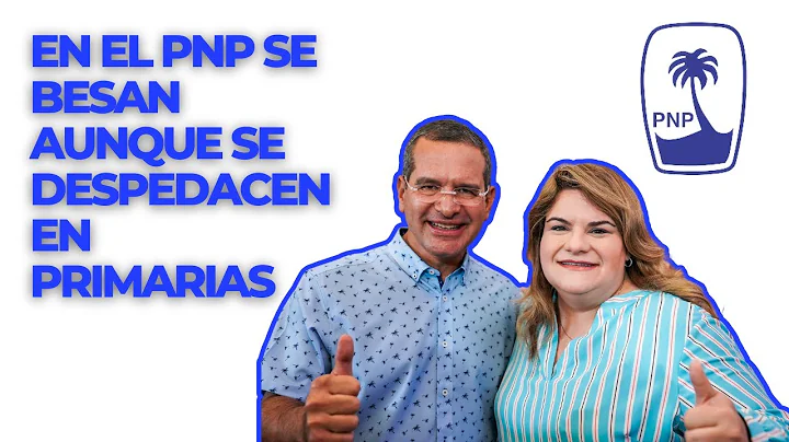 QPEN El PPD se juega su existencia en 2024