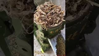 Cheapest Automatic Dog Food Pellet Making Machine