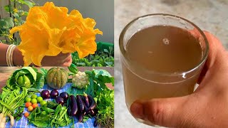 Easy & Free Homemade Organic Potassium Rich Liquid Fertilizer For Any Plants