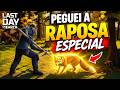 PEGUEI A RAPOUSA ESPECIAL - Last Day On Earth