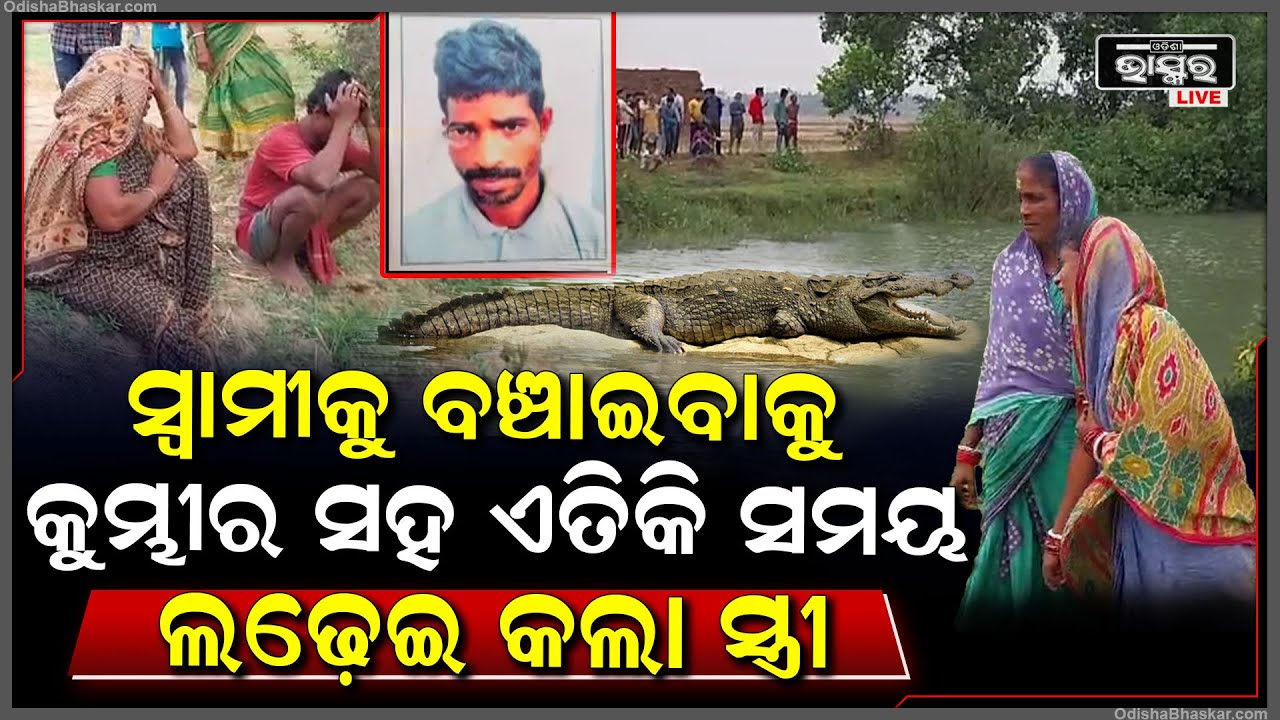 ଚାଷ ଜମିରେ ପାଣି ମଡ଼ାଇ ନଦୀକୁ ଧୋଇ ହେବାକୁ ଯାଇଥିଲେ ସ୍ୱାମୀ ସ୍ତ୍ରୀ ହେଲେ ଏତିକି ବେଳେ କୁମ୍ଭୀର ଆସି....
