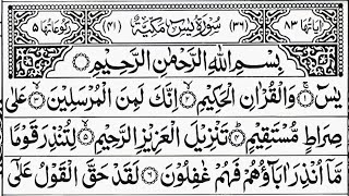 Surah Yaseen | Ar-Rhaman | Surah Yasin 2 Times Daily Quran Tilawat Episode 432 Beautiful Recitation