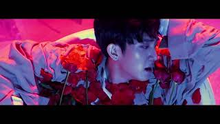The Rose - Sorry ringtone