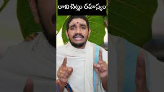 రవచటట రహసయ - Worshipping Peepal Tree