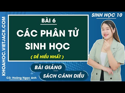 Video: Những phân tử sinh học nào cần thiết cho mọi sinh vật?