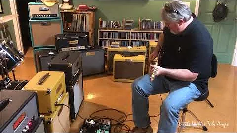 Little Walter Tube Amps 22 played by Wade Flinn