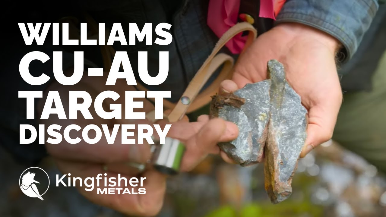 How was Williams Cu-Au Target Discovered? CEO Dustin Perry Explains...
