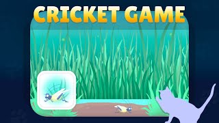 Play With Your Cat! - Cricket Game Demo