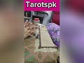 Apka Ex Partner/Life Partner/Low Contact Me Kia Regret Krta Hy Apky Bary Me? #tarotpk #tarot