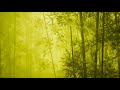 Dharma Bamboo | Relaxing Hotchiku Flute Ambient Music &amp; Water Sounds, Calming Zen Meditation Music