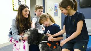 Going Beyond at Julie Billiart Schools