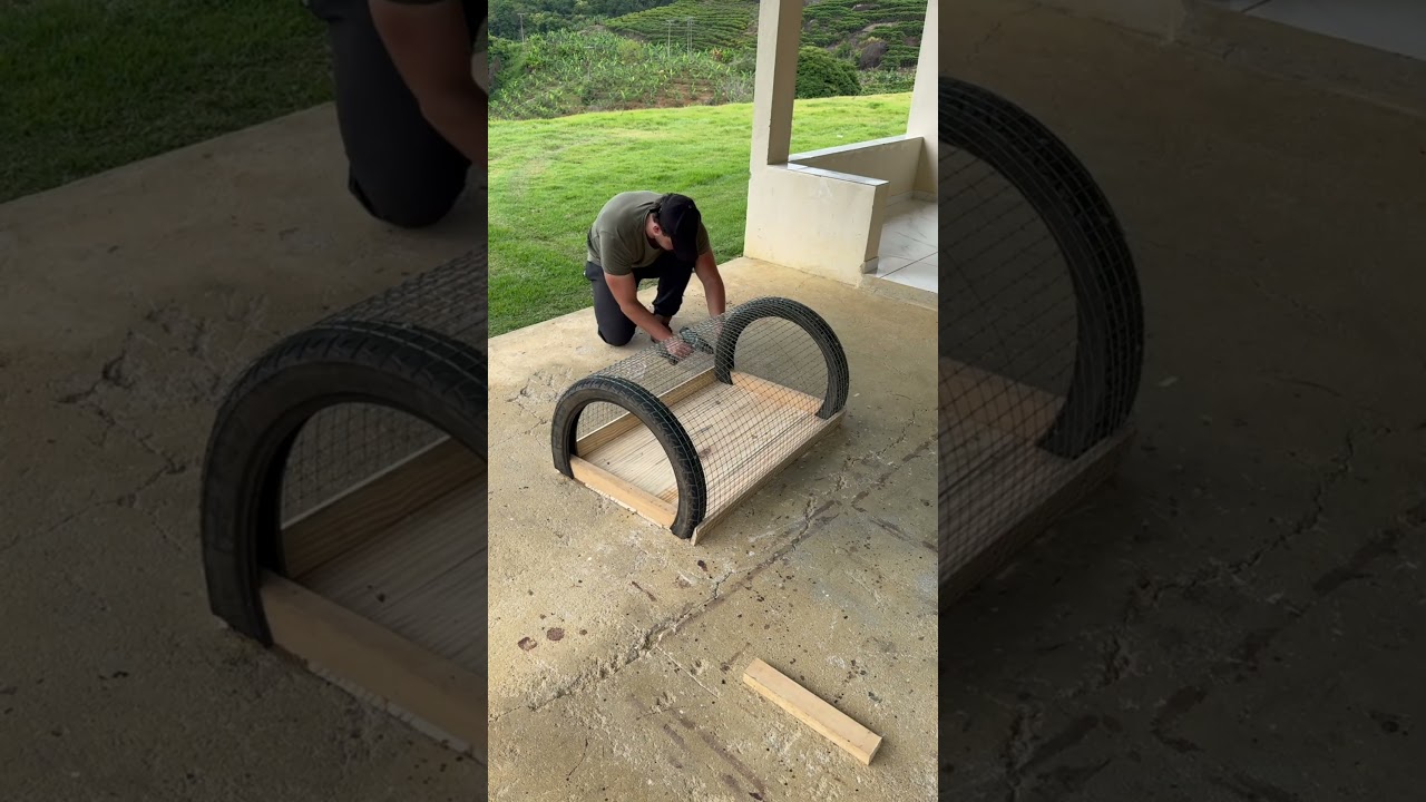 Look at the genius idea he had using pallets and an old tire 😲