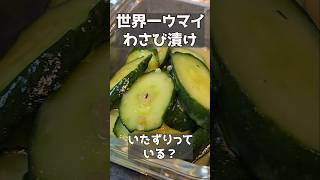 漬け物にいたずりっている?? #料理 #ままごとキッチン #簡単レシピ #おつまみ #自炊 #検証 – いそじま夫婦のお酒と料理チャンネル