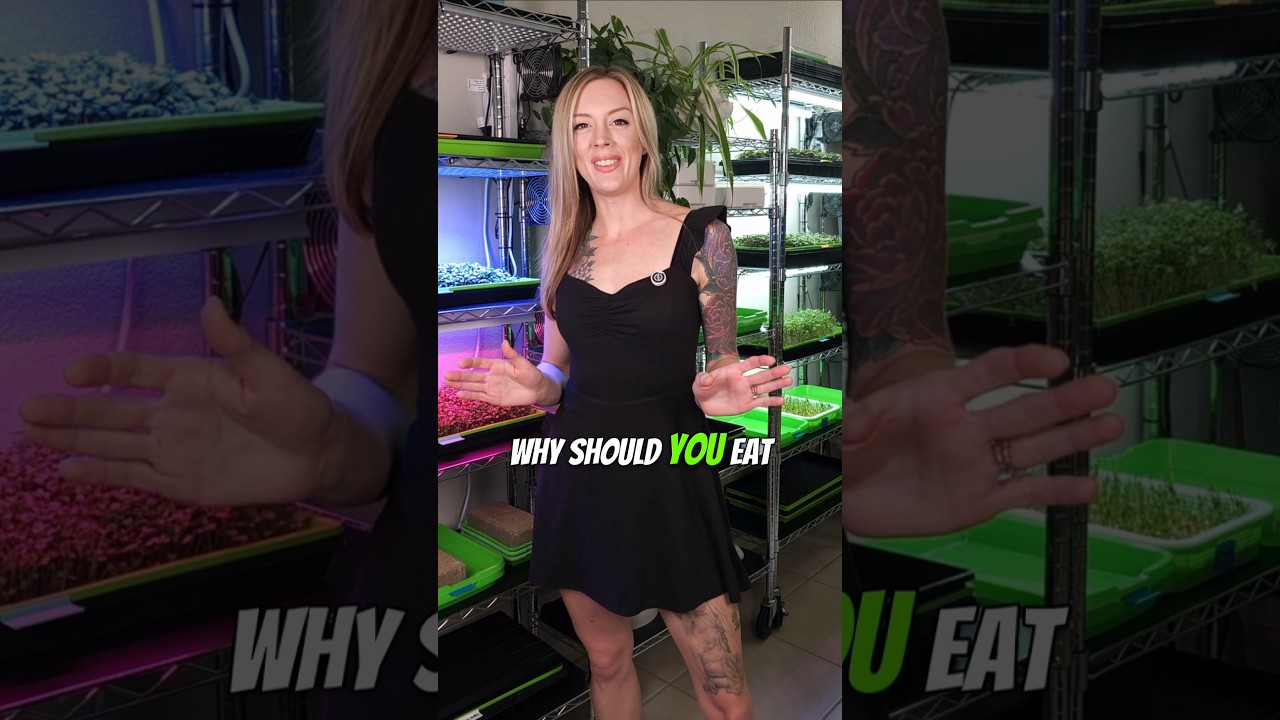 Why Should YOU Eat Microgreens?!