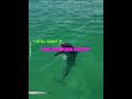 "We literally made a dolphin friend"🐬🥰 #shorts #pets #edit