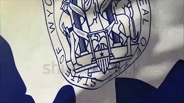 4K wyoming flag waving in the wind. Looping sun rises style. Animation loop Stock video