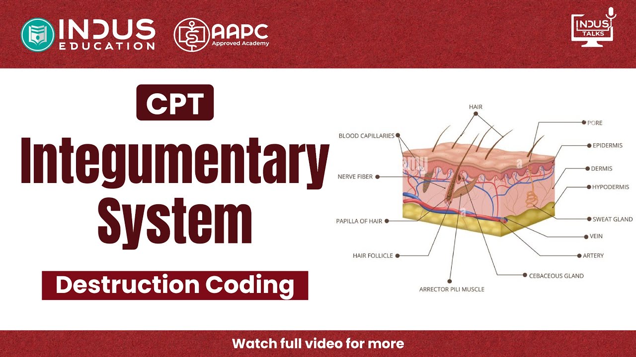 CPT Integumentary System | Destruction Coding Explained | CPC Medical Coding 