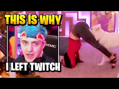 ninja-roasts-alinity-in-front-of-timthetatman,-drlupo-and-courage-|-fortnite-daily-funny-moments