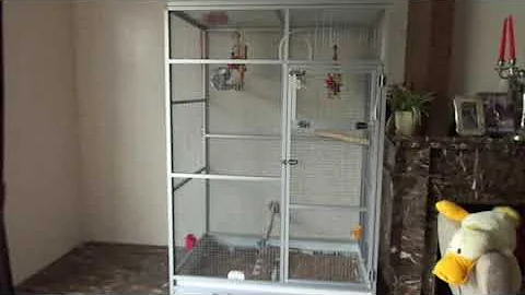 Клетка для попугая Жако размером 1,7 х 1,2 х 0,8 м.