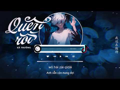 [Vietsub] Quên Rồi (Bản R&B) - Xã Trưởng | 忘了 (R&B版) - 社长