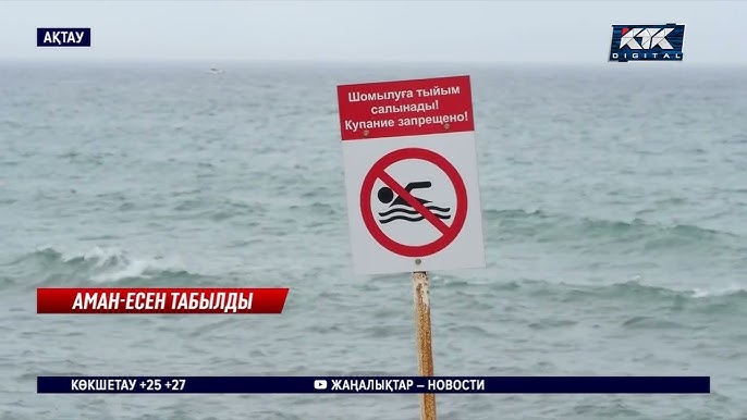 Әйелдер теңізде Әйелдер теңізде