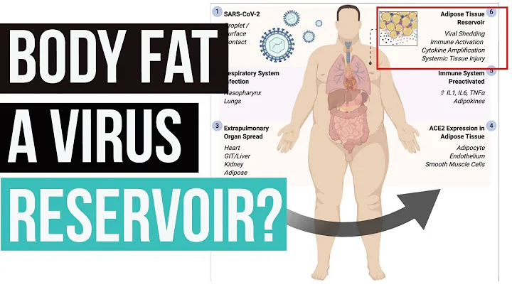 Obese Have Higher Viral Load, Shed More Virus (Science)