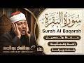 سورة البقرة الشيخ عبد الباسط عبد الصمد   القرآن الكريم مباشر                                     نجومي