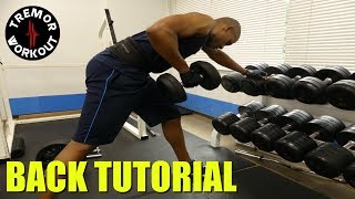 How To Work Out Your Back