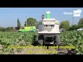 Interview of a farmer using the hoeing robot Oz