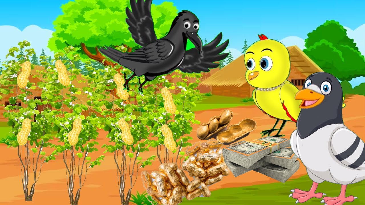 मूंगफली की खेती chidiya wala cartoon bird stories ameer ghareeb