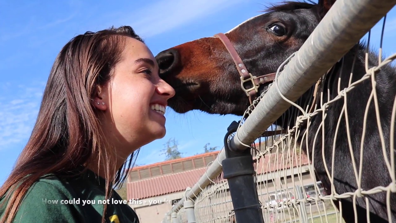 Cal Poly Pomona Bronco Stories: Ashley, Animal Science Major