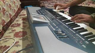 Bozlak korg pa 800 piyanist selo Resimi