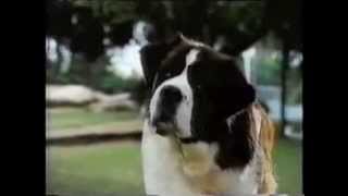 Celebrity Commercials Vol. 42 - November 1993 - Zanesville, OH Profile