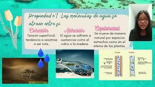 Infografía de las Propiedades del Agua (grupo 3)