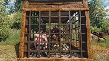 The Witcher 3: Geralt was caged with a wyvern [The Most Truest of Basilisks]
