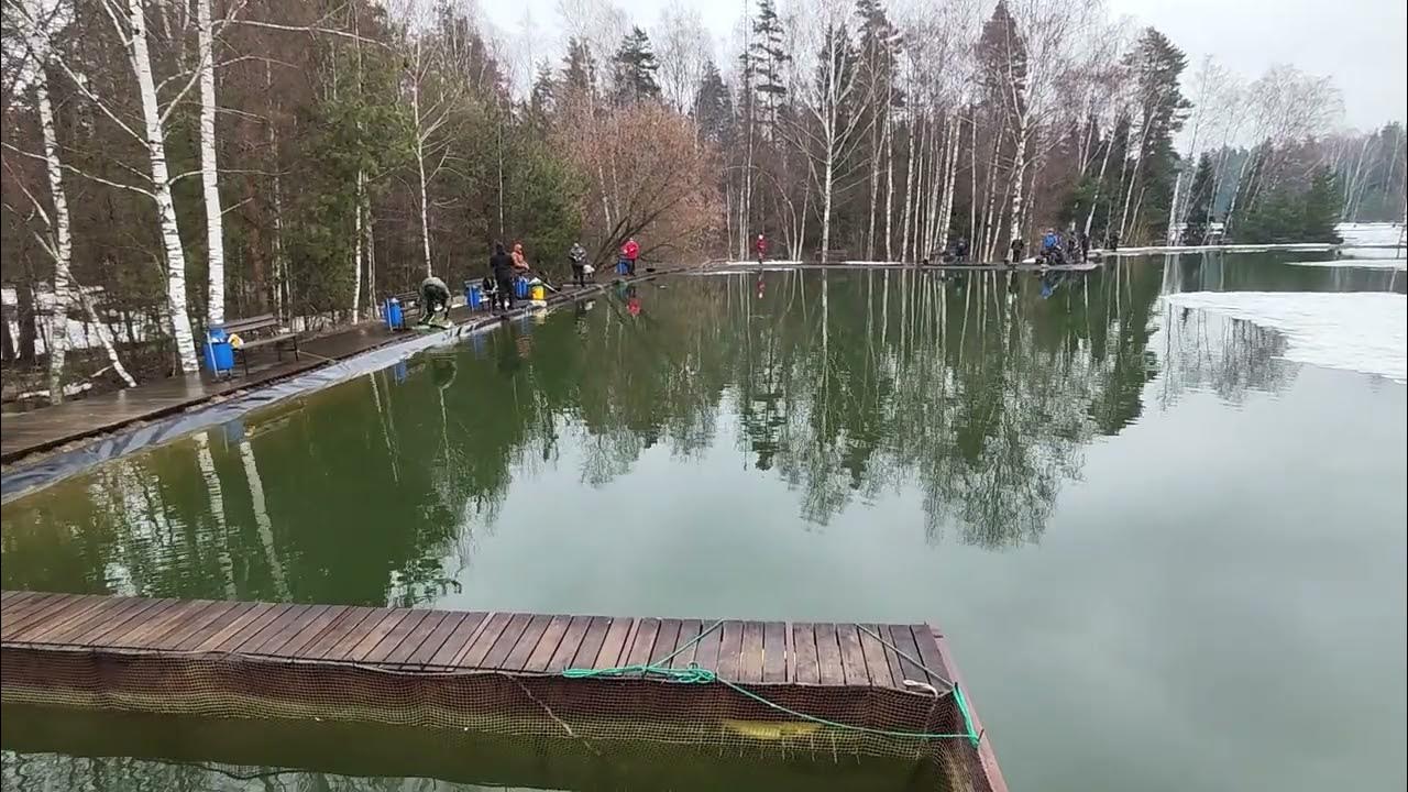 Тюмень фишпарк перевалово на сегодня. Фишпарк алмазово. фишпарк московская область. фишпарк рыбалка. фишпарк тюмень.