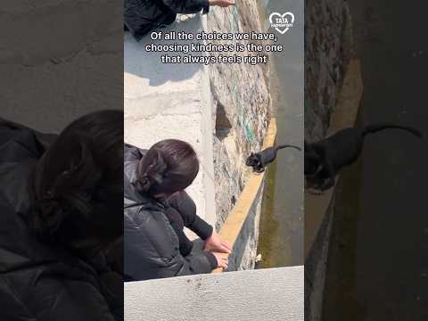 And once again, the world was saved by people who chose kindness.❤️ #rescue #inspiration