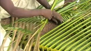 Weaving Coconut Fronds- Ghana's Natural Beauty!